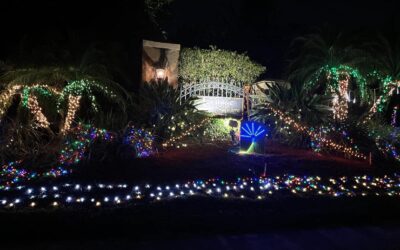 The Rabbi’s Christmas Lights