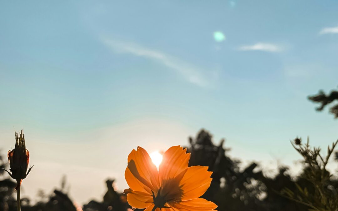 Being of Peace : Essence of Peace