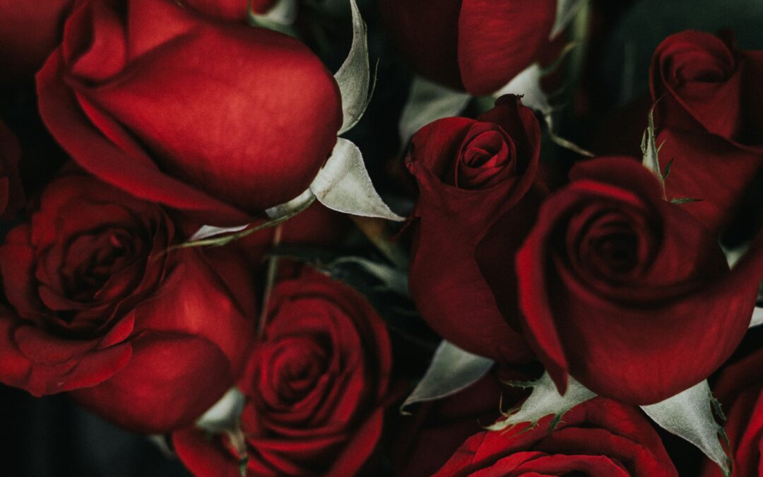 Shechina: Roses of Love