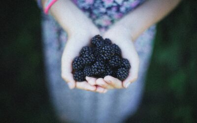 The Expensive Blackberries