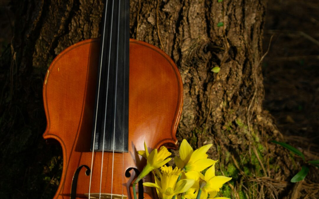 Gaia’s Song via Lee Degani