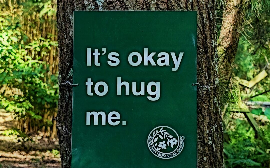 Talk to Trees for Earth Day!