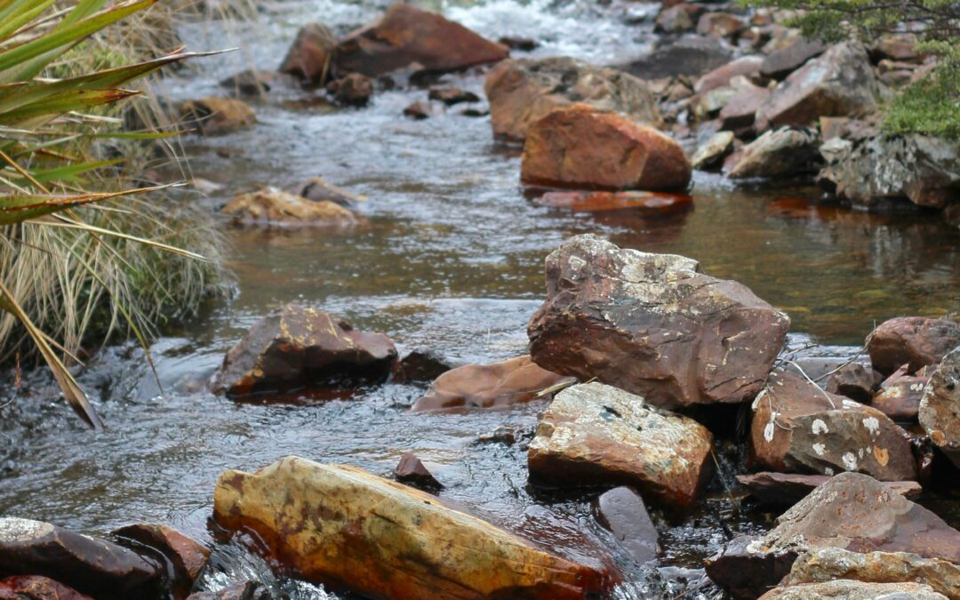 Lao Tsu: The Remembrance of Balance