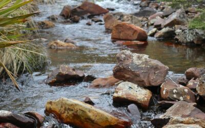 Lao Tsu: The Remembrance of Balance